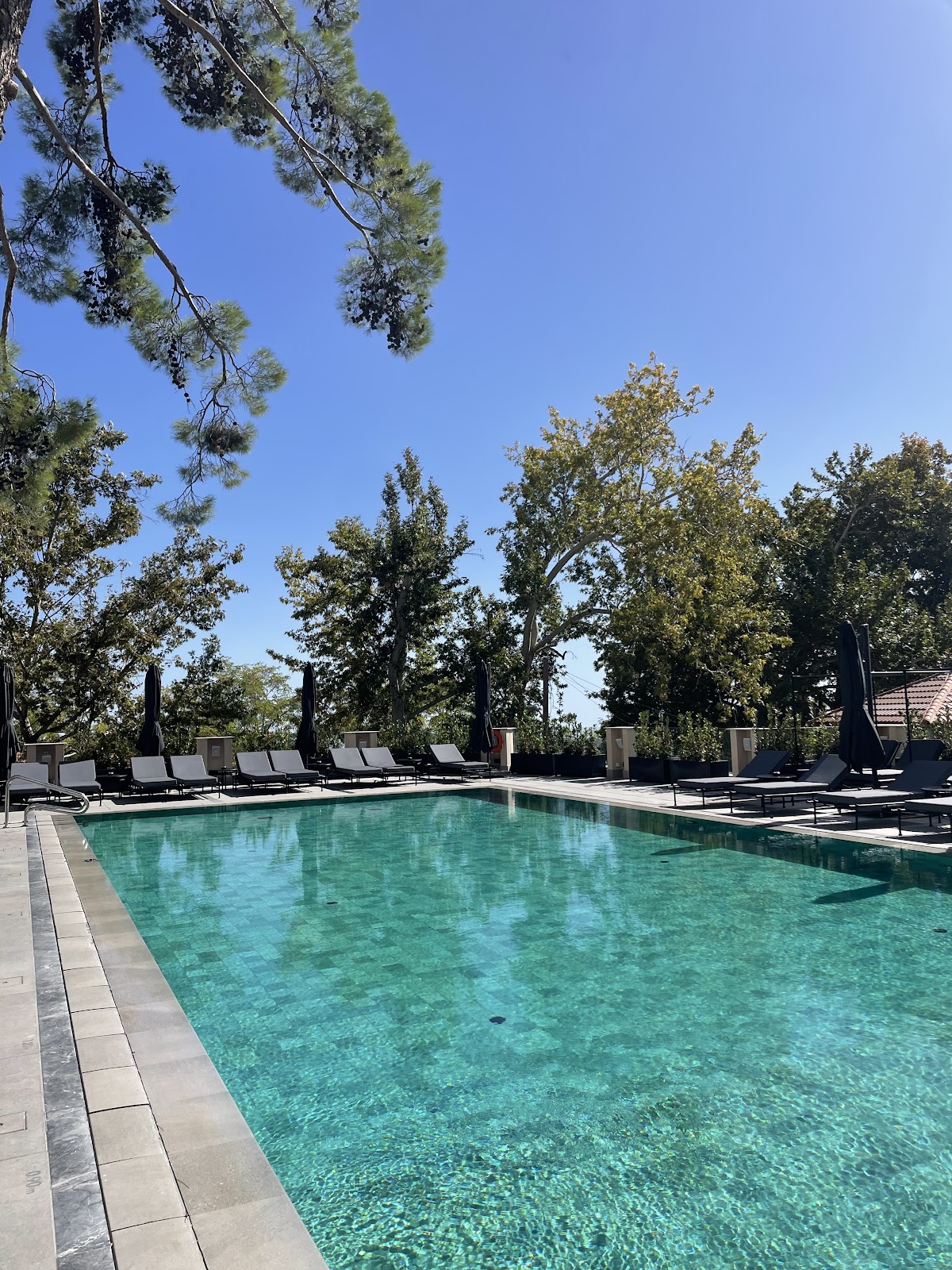 Pendeli Resort, dog-friendly hotel, photo 2