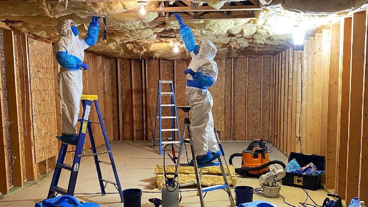 Mold Experts of Atlanta LLC — photo