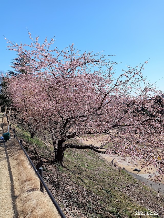 Oosagami Country Club - Photo 8