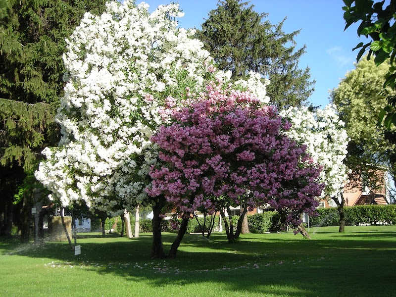 Centro Deportivo Sociocultural Militar "san Jorge"