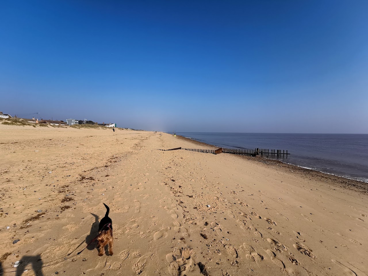 Caister Point Beach