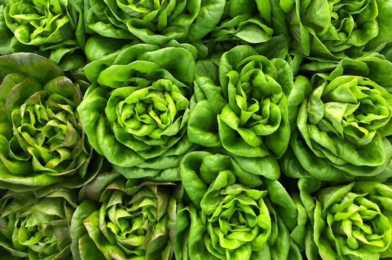 Fat Beet Farm Kitchen and Bakery photo 3