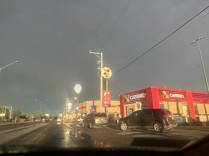 CAFFENIO Cipreses photo 4