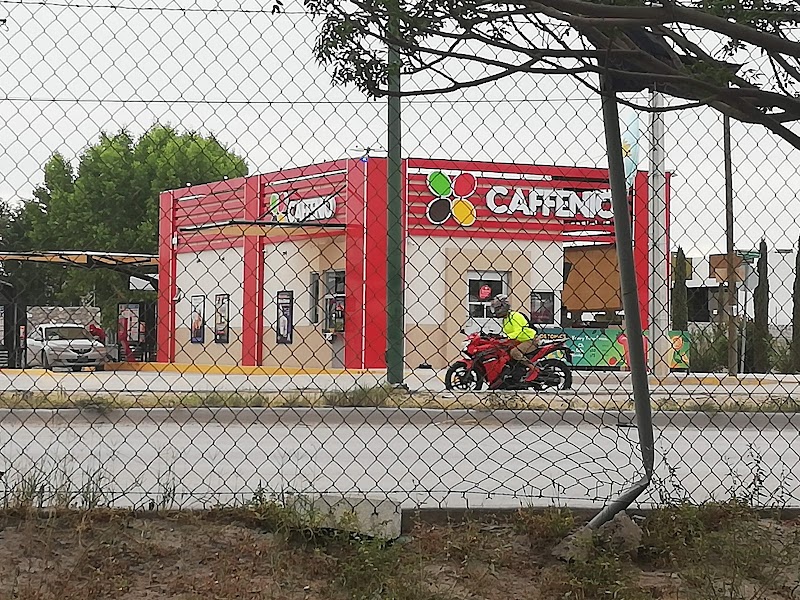 CAFFENIO Cipreses photo 1