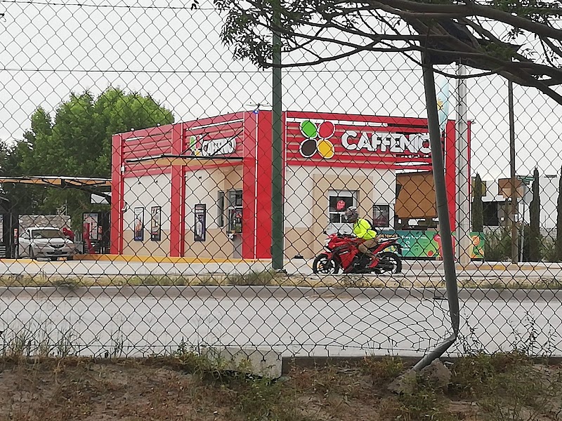CAFFENIO Cipreses photo 1