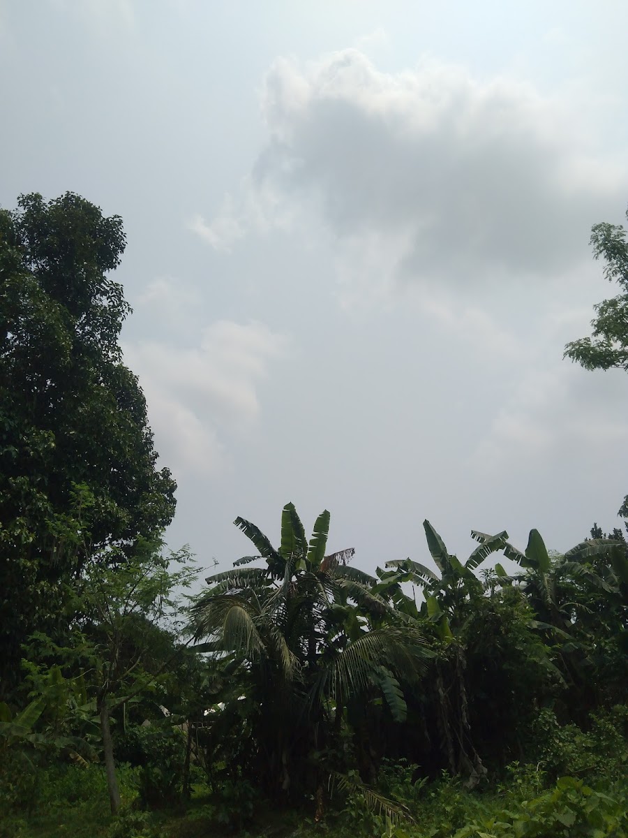 Mahamaya Sangha Club Google photo 4
