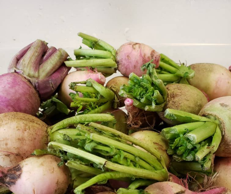 Fresh Future Farm photo 3