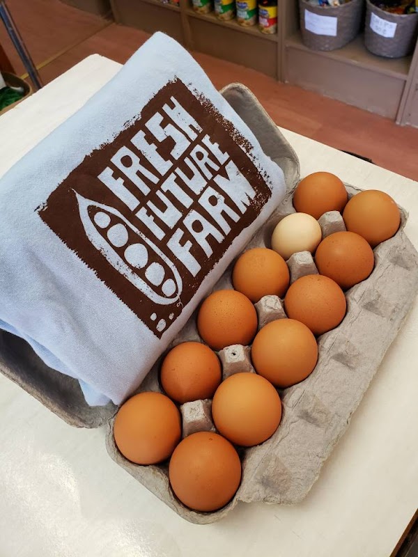 Fresh Future Farm photo 5