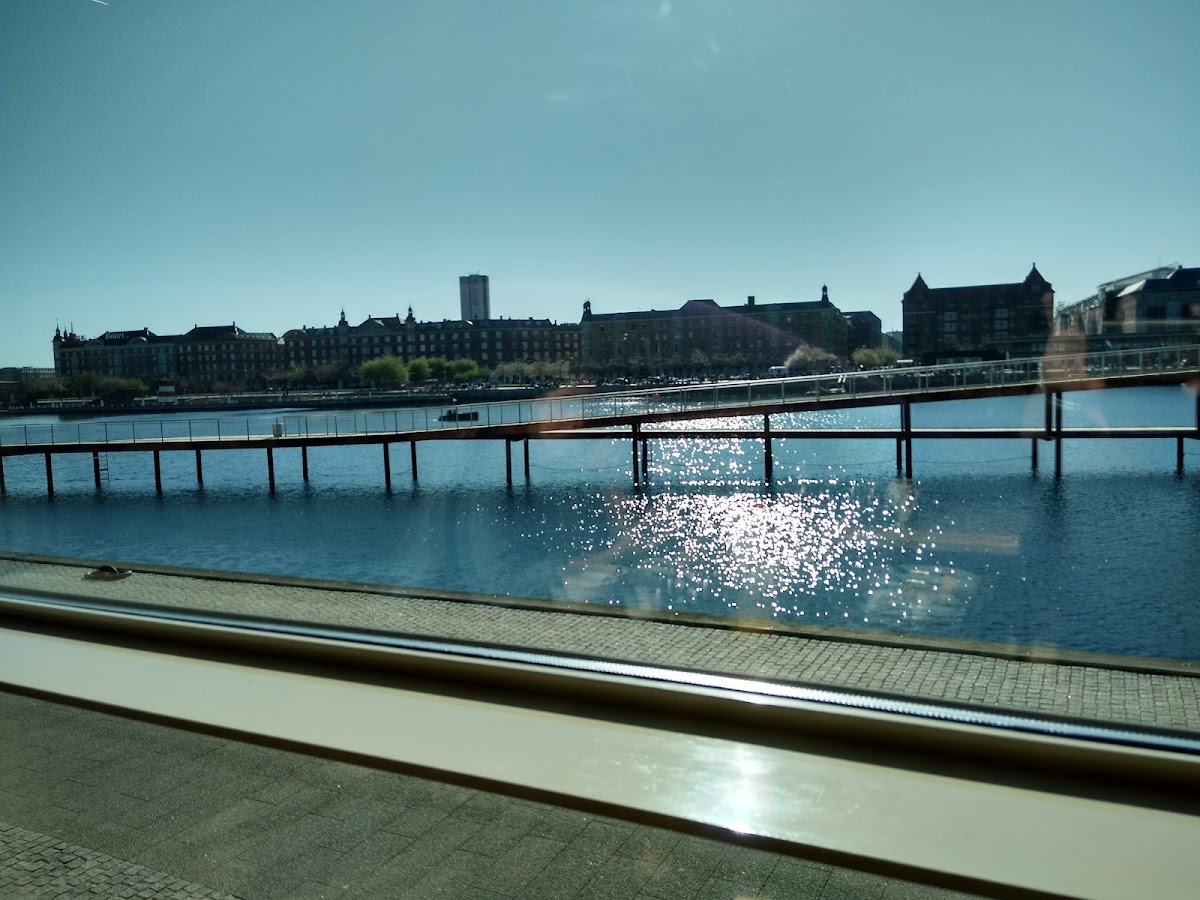 Copenhagen Marriott Hotel, dog-friendly hotel, photo 2
