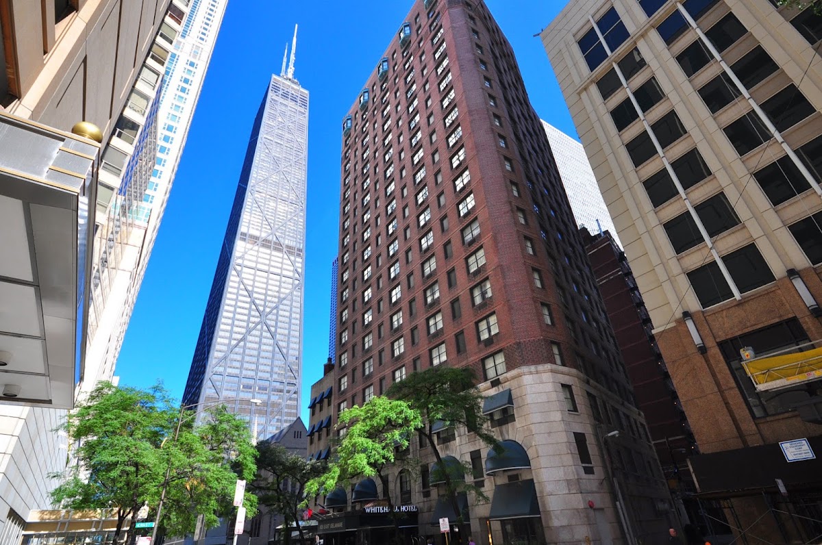 The Whitehall Hotel Chicago, dog-friendly hotel, photo 5