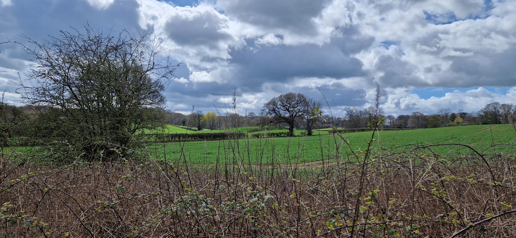 Wetherby Railway Path