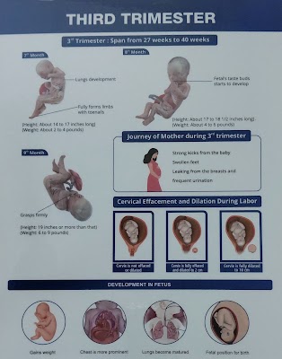 ANSUSHREE MEDICAL HALL DR SUBHALAXMI DASH CLINIC