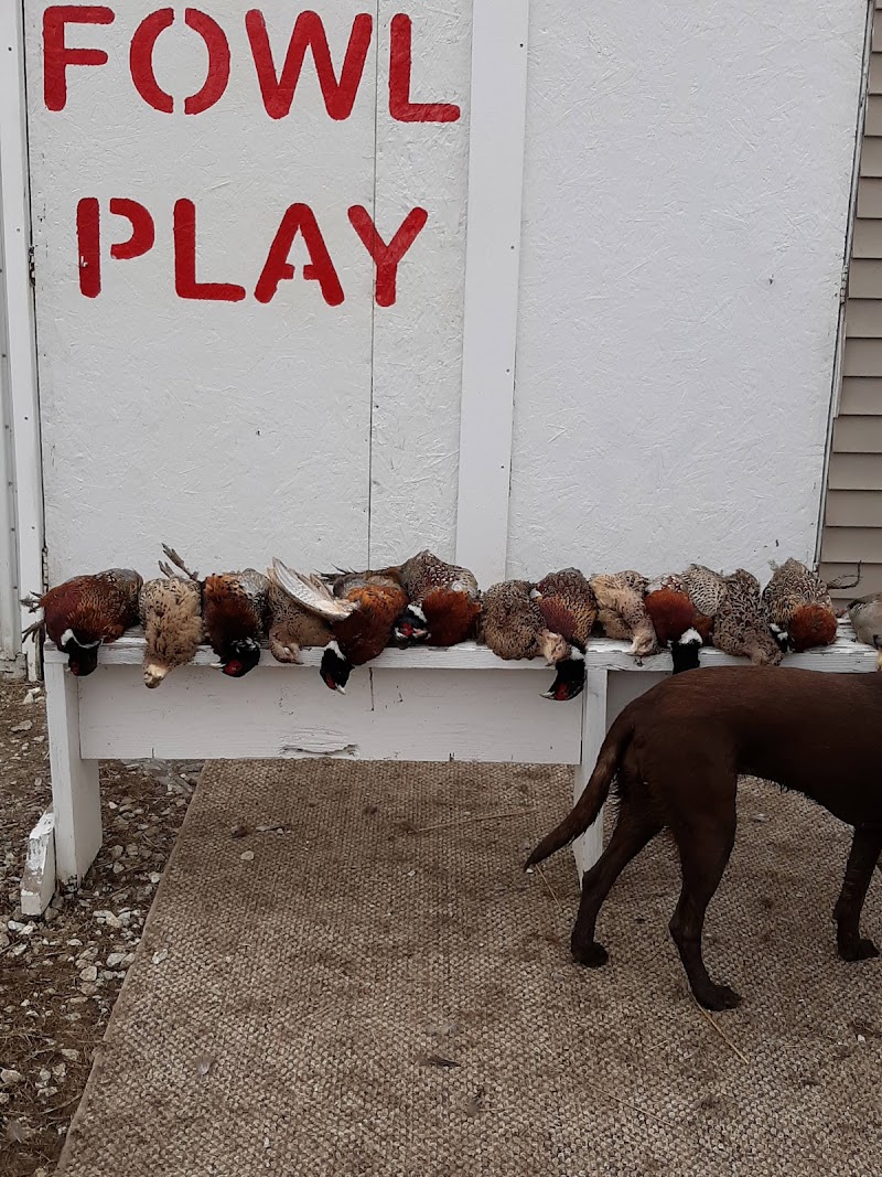 Faeth's Fowl Play - Photo 1