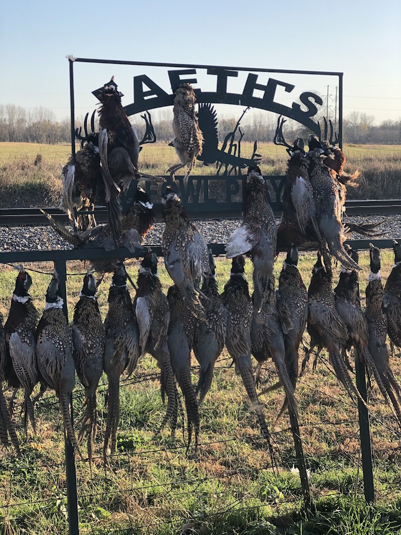 Faeth's Fowl Play - Photo 3