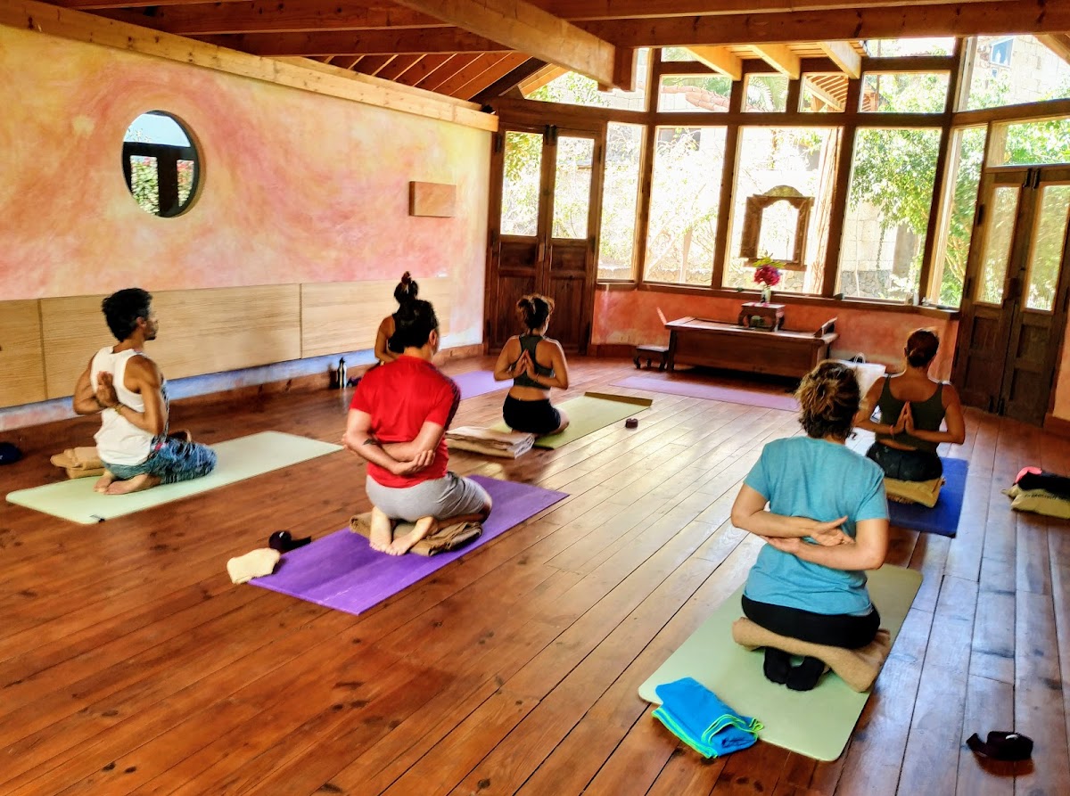 Sandra Yoga & Therapies — 3