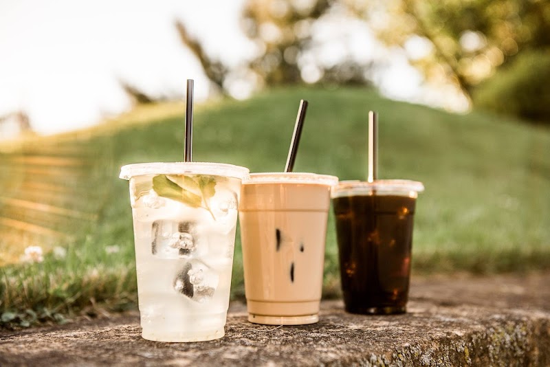 Lost Bear Coffee photo 1