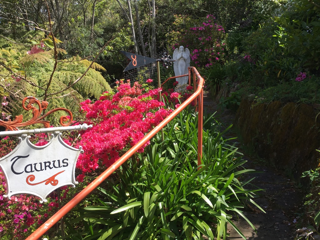 Dalia's Blue Mountain Retreat — 4