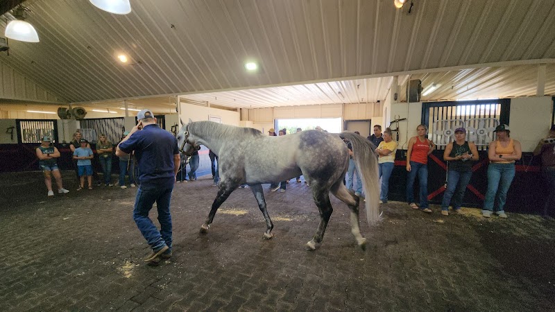 Lazy E Ranch - Photo 3