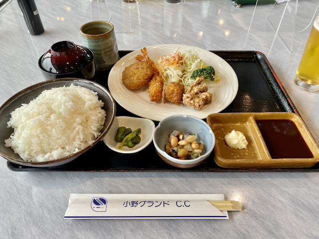 Ono Grand Country Club - Photo 7