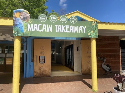 Macaw Takeaway