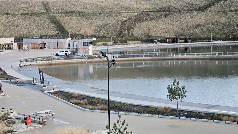 The SurfSkate Academy