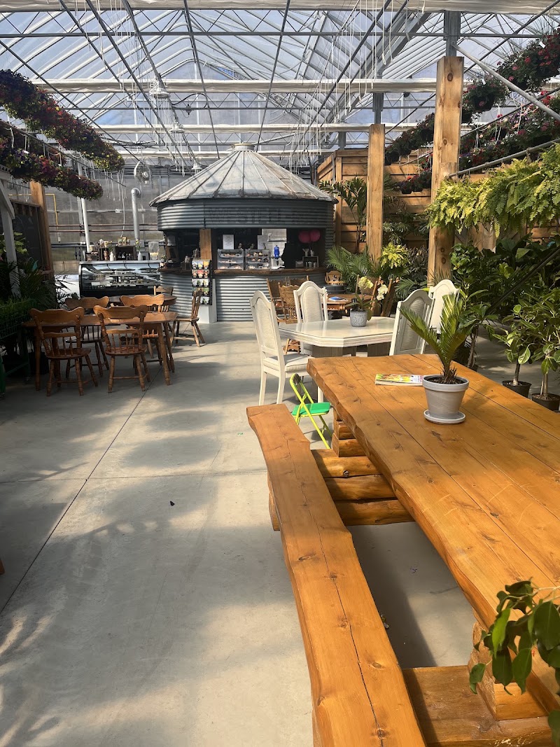 John's Cafe photo 3