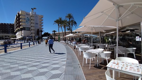 Restaurante Mediterraneum Alicante
