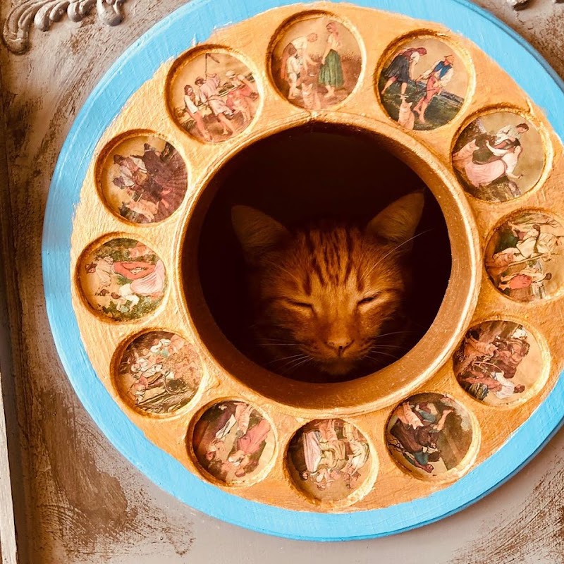 The Witty Whisker Cat Cafe photo 3