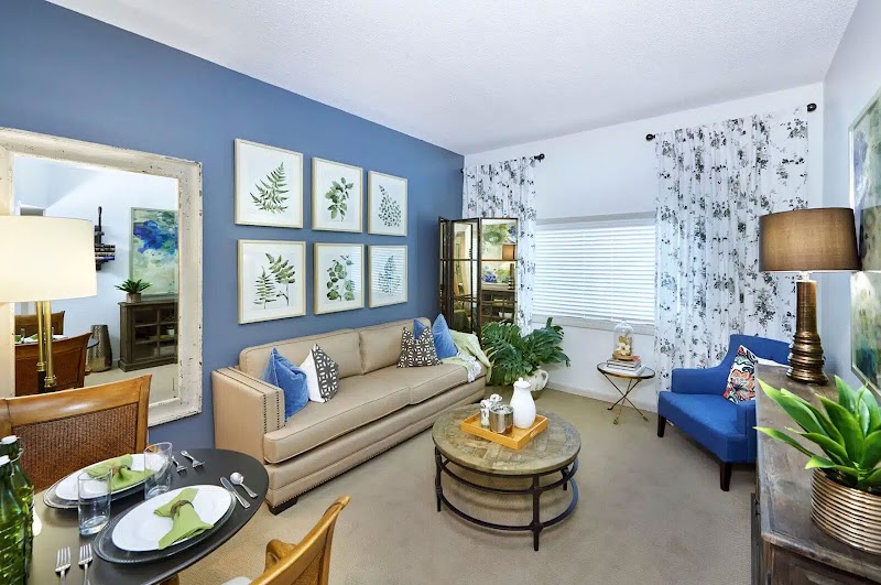 Renaissance Of North Tampa