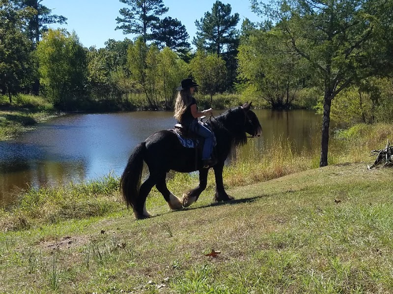 Horse Heaven Ranch - Photo 1