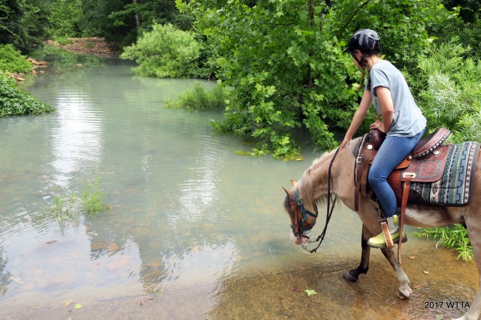 Horse Heaven Ranch - Photo 2