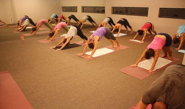 Yoga Live Academy — 3