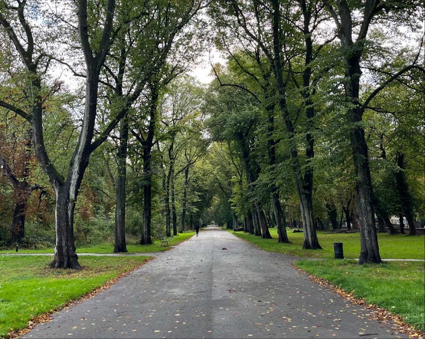 Alexandra Park fotoğraf 1