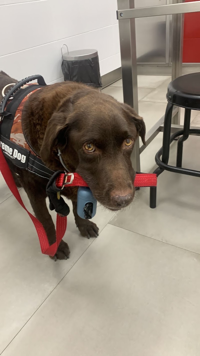 Clínica Veterinaria Navatejera