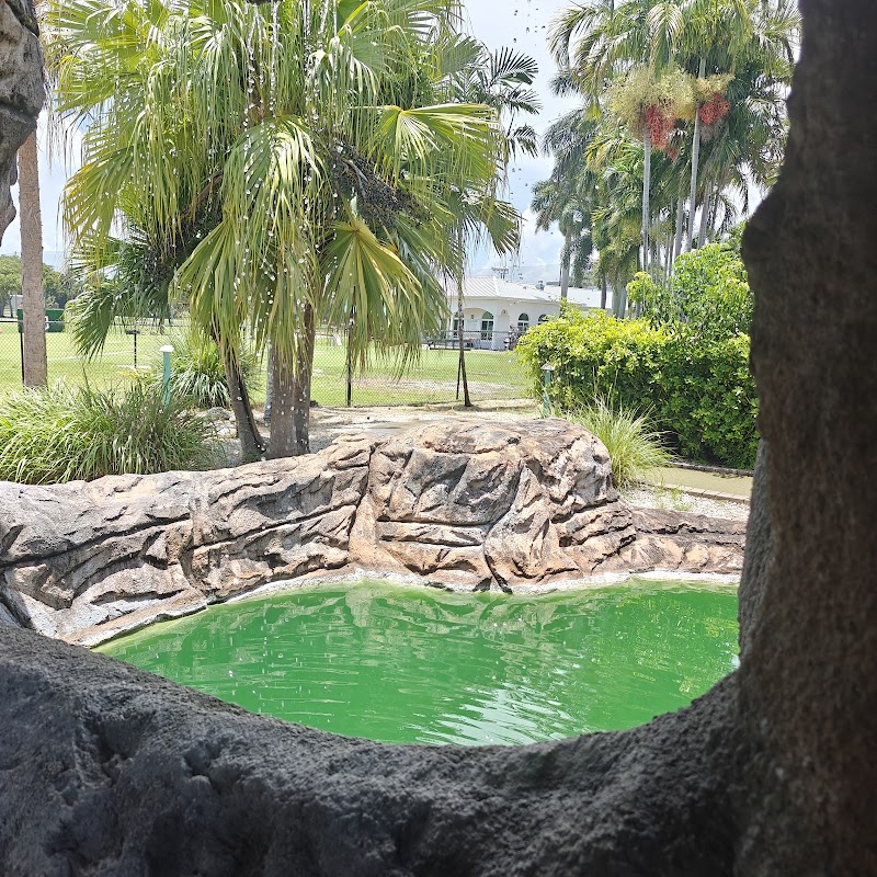 Palmetto Mini-Golf photo 3