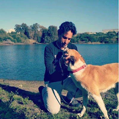 אבי לנדו מאלף כלבים