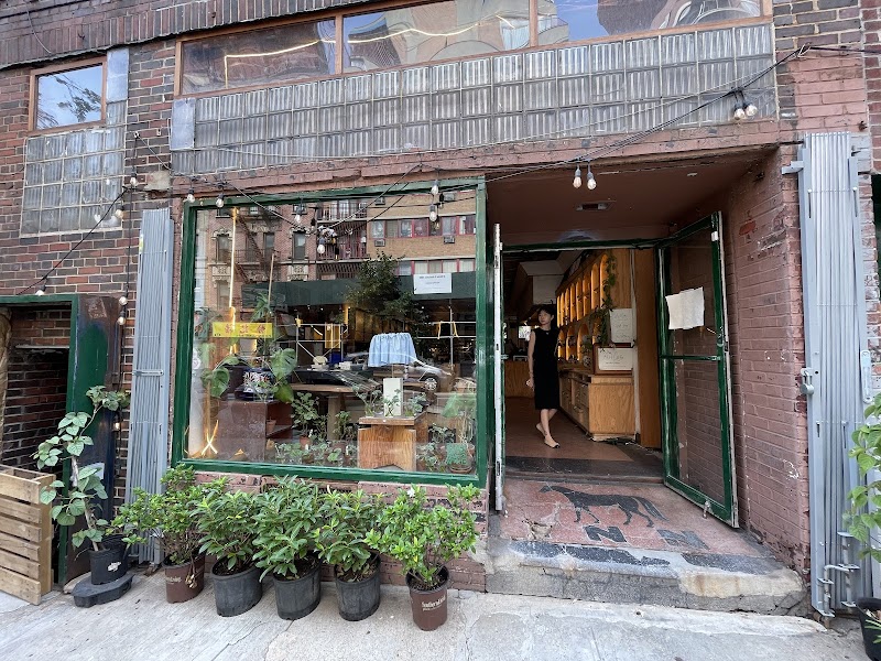 Happy Medium photo 1