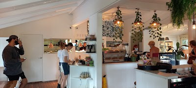 Tamborine Mountain Coffee Plantation