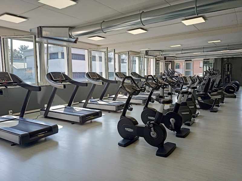 Palestra Time
