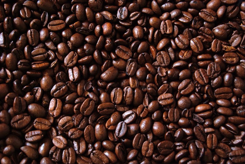 Brewed Awakenings photo 2