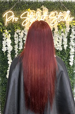 Pro Stylist Studio photo 3