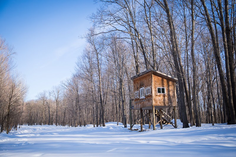 Northwoods Antler Lodge - Photo 4