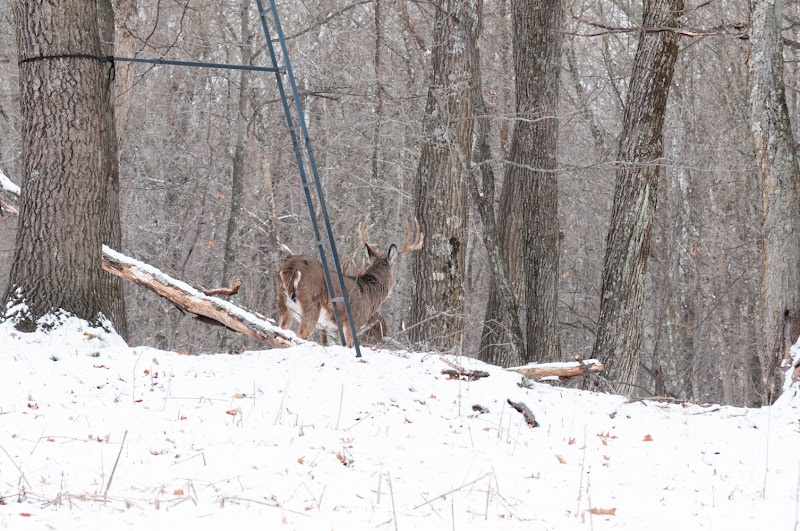 Northwoods Antler Lodge - Photo 5
