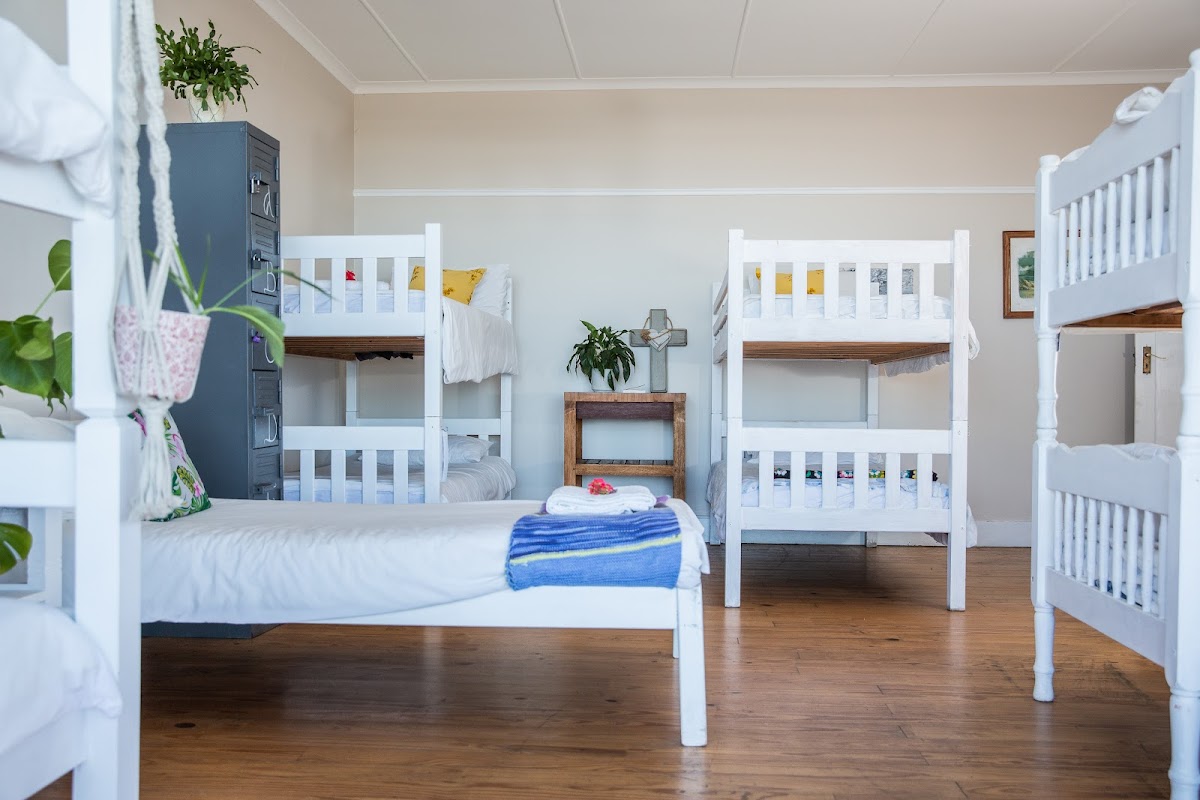 Wilderness Beach House Backpackers Lodge — photo 2