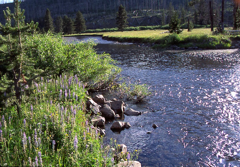 Absaroka Beartooth Outfitters - Photo 2