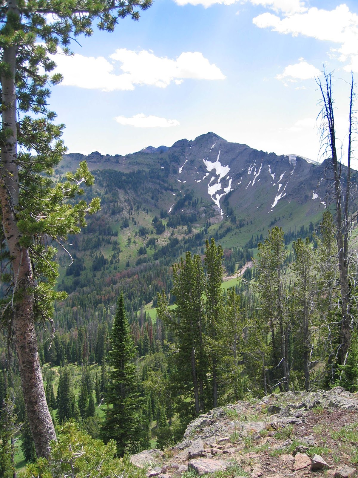 Absaroka Beartooth Outfitters