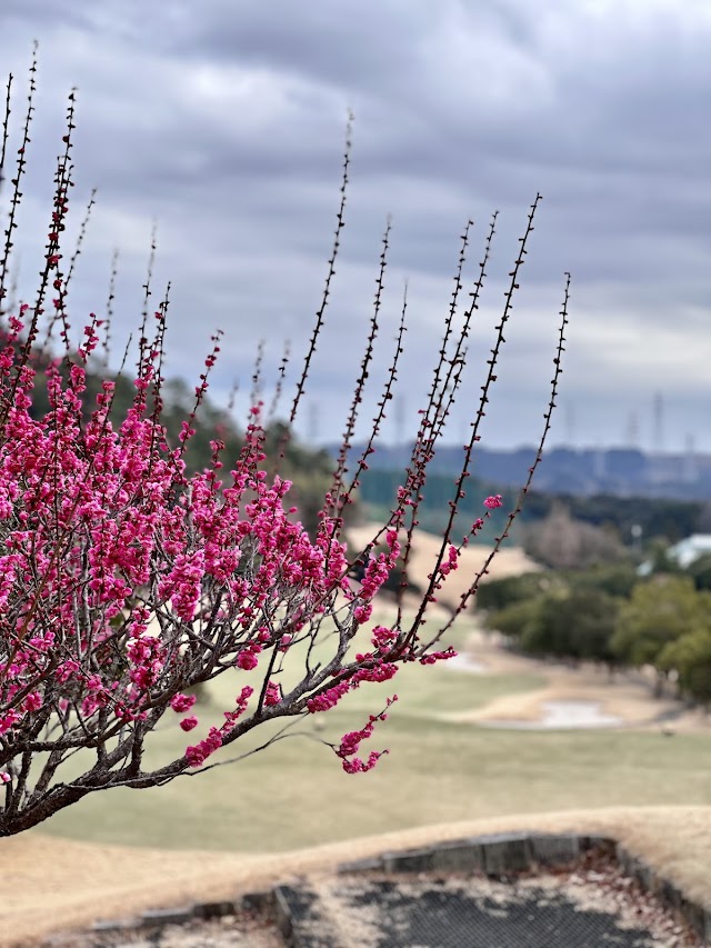 Horon Golf Club - Photo 7