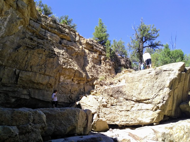 Cooper's El Vado Ranch - Photo 6