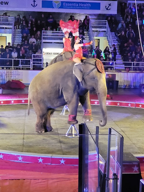 Photo by Katherine Starr