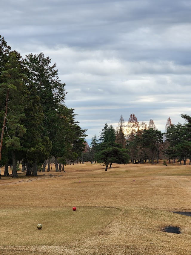 Kinugawa Country Club - Photo 10